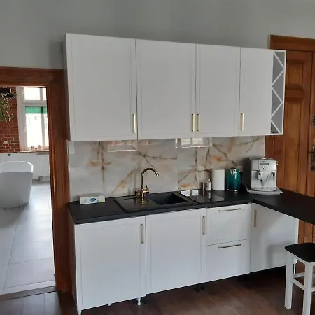 Kamienica Bydgoska Apartment *